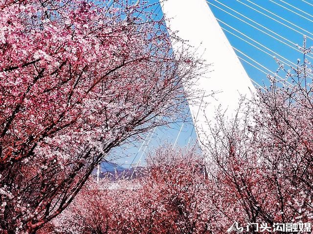 莺飞三月 云赏门城~