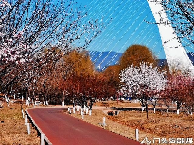 莺飞三月 云赏门城~