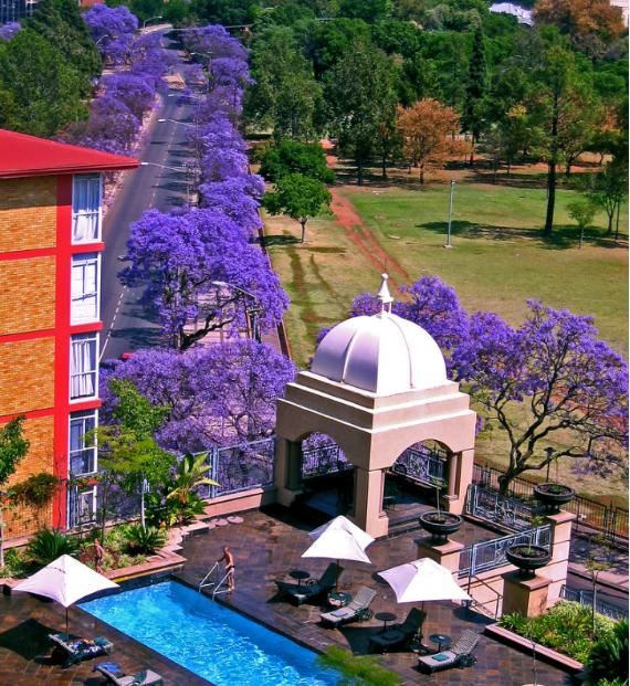 国外种路边的树，没有一个见过，长见识了