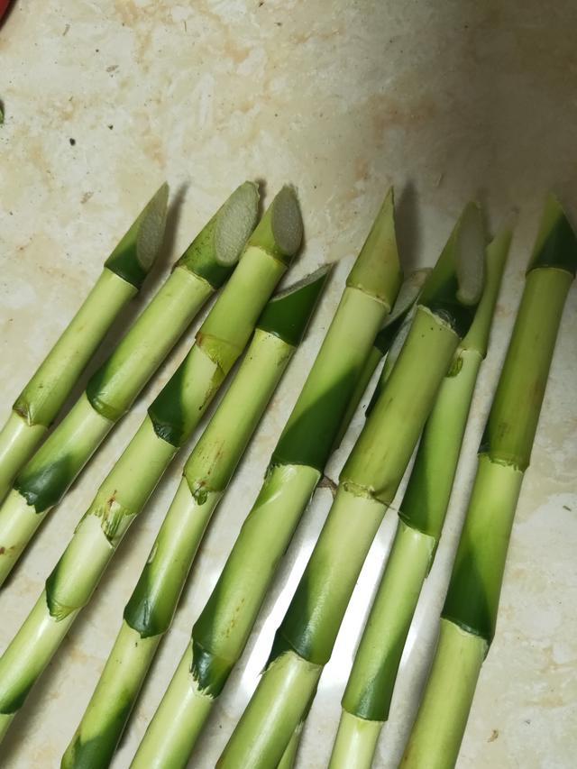 水养富贵竹总“黄叶”?避开5个“小忌讳”,养多久都绿油油 水养富贵竹总“黄叶”?避开5个“小忌讳”,养多久都绿油油