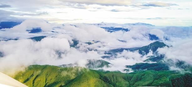 海南省积极推进热带雨林国家公园体制试点建设