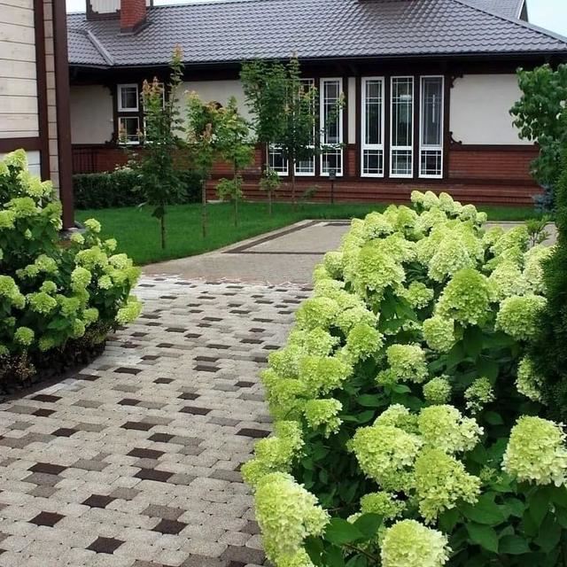 不同环境应该怎么样布置花境？