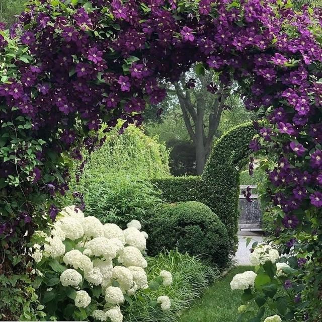 垂直绿化——建筑与植物浑然一体 垂直绿化——建筑与植物浑然一体