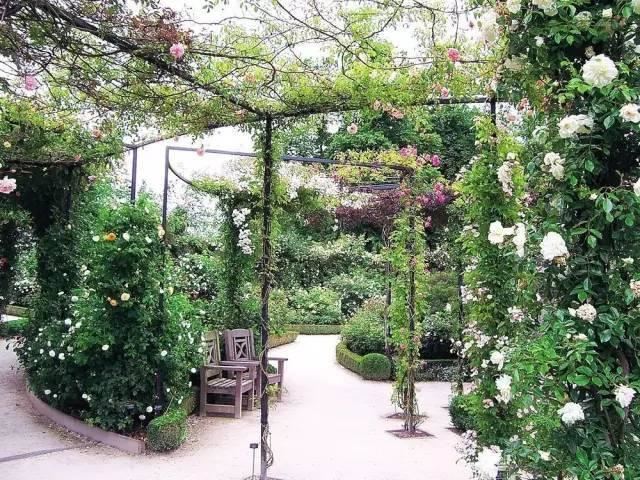 藤架，园林景观的点睛之笔！