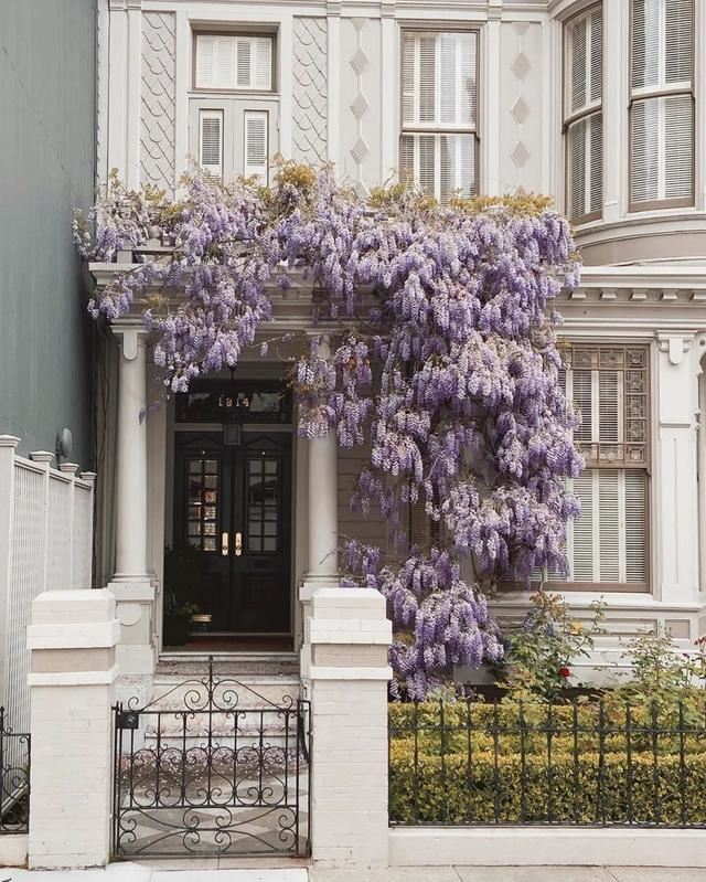 垂直绿化——建筑与植物浑然一体 垂直绿化——建筑与植物浑然一体