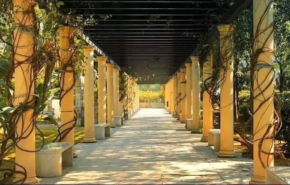 藤架，园林景观的点睛之笔！