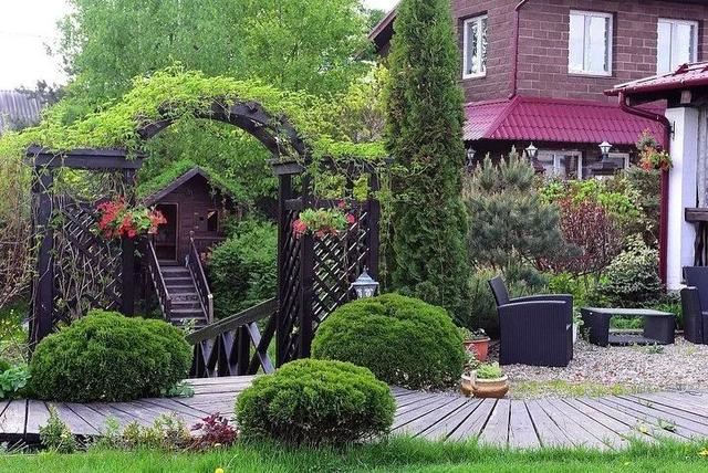 不同环境应该怎么样布置花境？