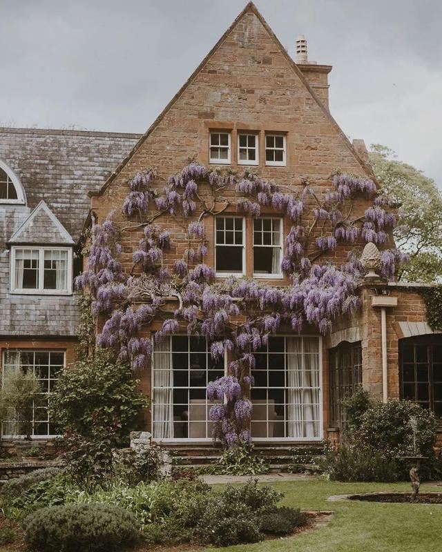 垂直绿化——建筑与植物浑然一体 垂直绿化——建筑与植物浑然一体