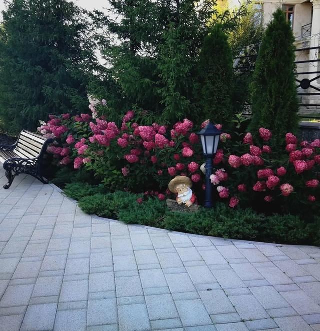 不同环境应该怎么样布置花境？