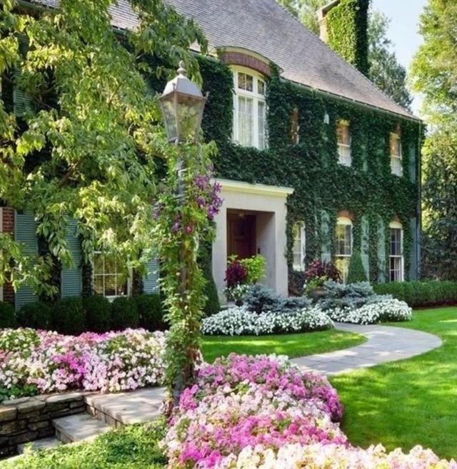 垂直绿化——建筑与植物浑然一体 垂直绿化——建筑与植物浑然一体