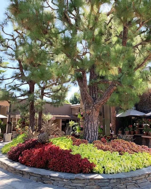 不同环境应该怎么样布置花境？