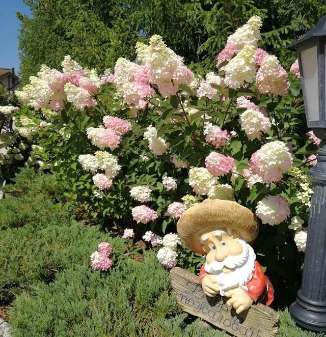 不同环境应该怎么样布置花境？