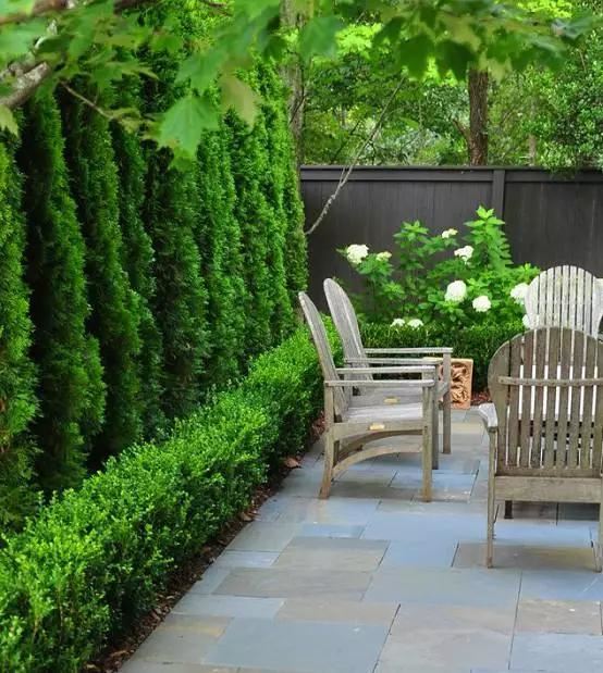 花园的设计不只是提供赏花赏月，更需要的是藏的了秘密的花园