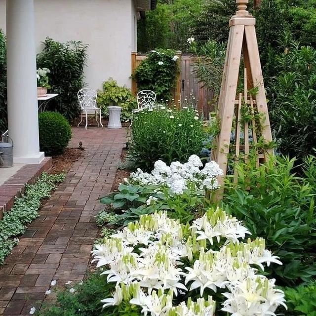 不同环境应该怎么样布置花境？