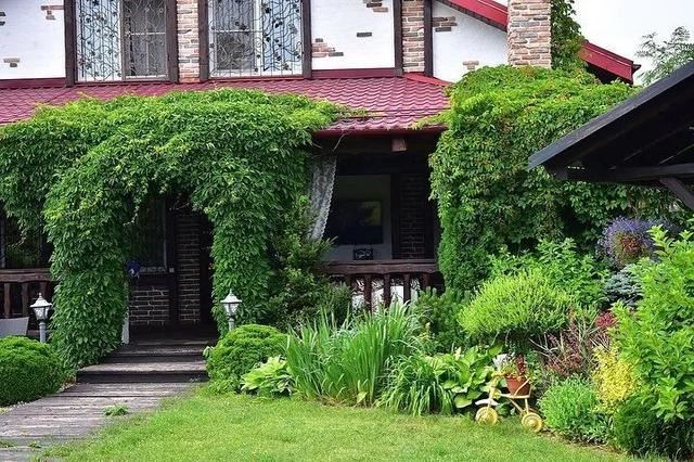 不同环境应该怎么样布置花境？