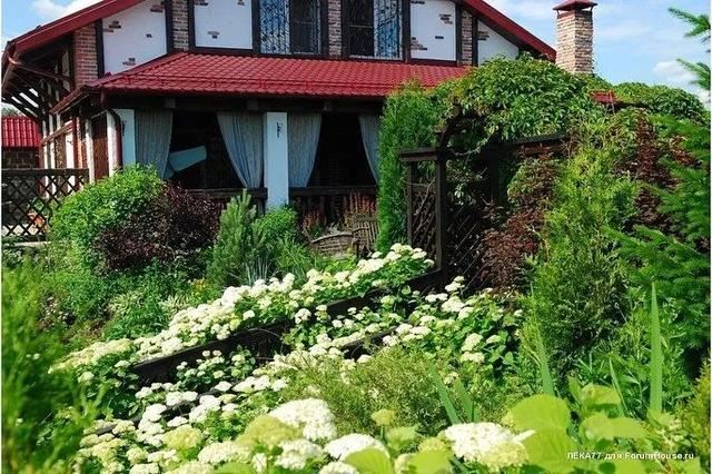 不同环境应该怎么样布置花境？