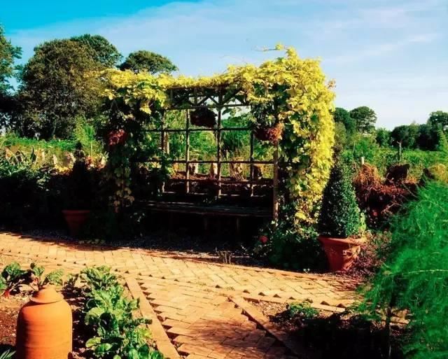 藤架，园林景观的点睛之笔！