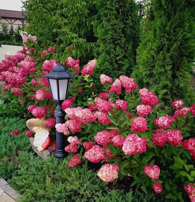 不同环境应该怎么样布置花境？