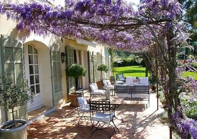 垂直绿化——建筑与植物浑然一体 垂直绿化——建筑与植物浑然一体