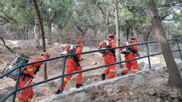 [最美林业故事]春季森林防火期，记者走进森林消防员的一天