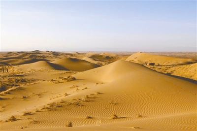 八步沙今又造林 八步沙今又造林