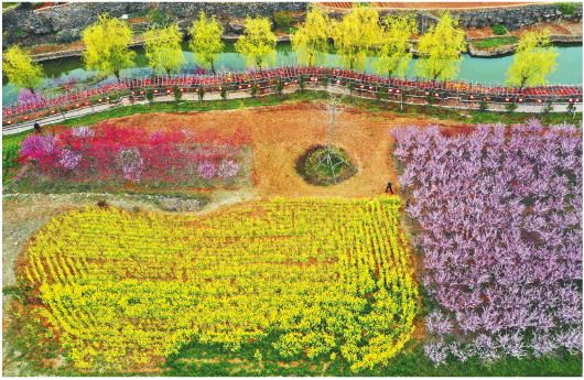 山东实施七大绿化攻坚行动　激发国土绿化活力