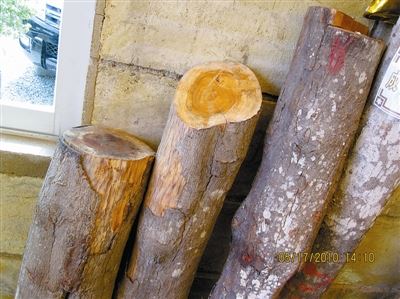 檀香，黄金之树余香袅袅