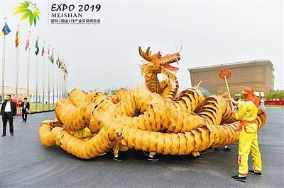 慈竹和风　绿竹猗猗