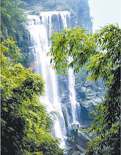 慈竹和风　绿竹猗猗