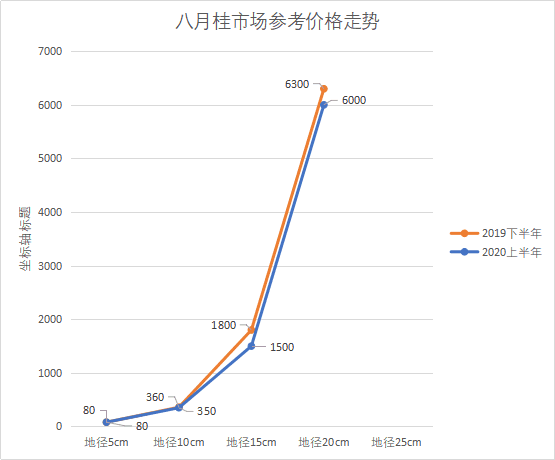 2020年上半年八月桂绿化苗木最新市场参考价格