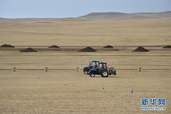 呼伦贝尔草原防治鼠害 呼伦贝尔草原防治鼠害