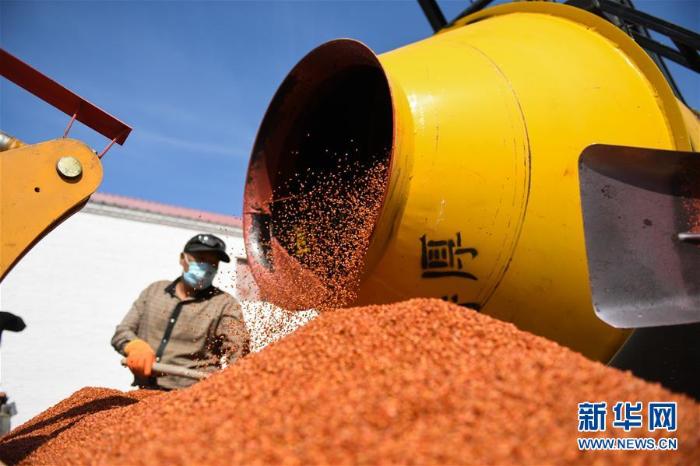 呼伦贝尔草原防治鼠害 呼伦贝尔草原防治鼠害