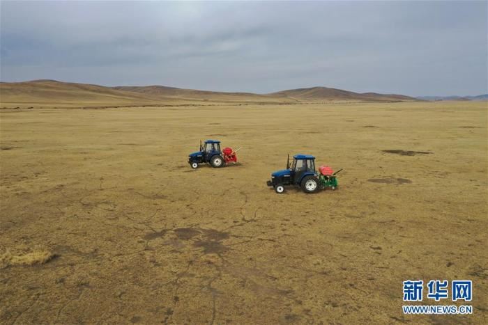 呼伦贝尔草原防治鼠害 呼伦贝尔草原防治鼠害