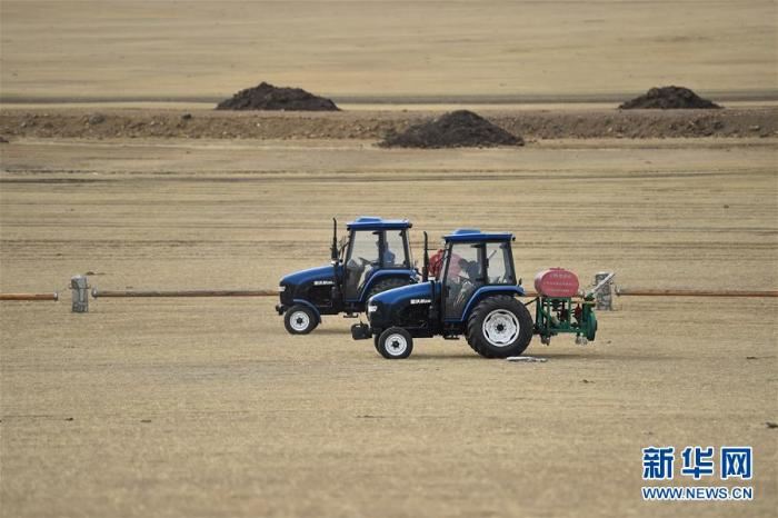 呼伦贝尔草原防治鼠害 呼伦贝尔草原防治鼠害