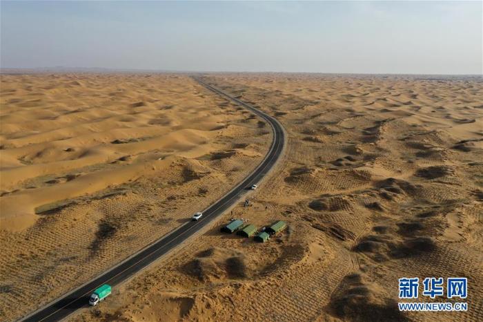 腾格里沙漠治沙忙