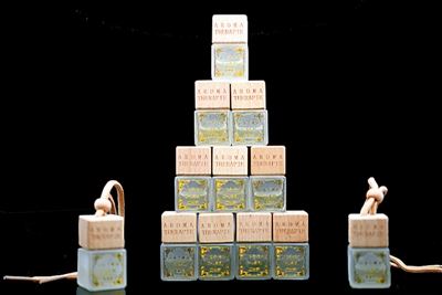 [树木传奇]山苍子:袭人的天然香包