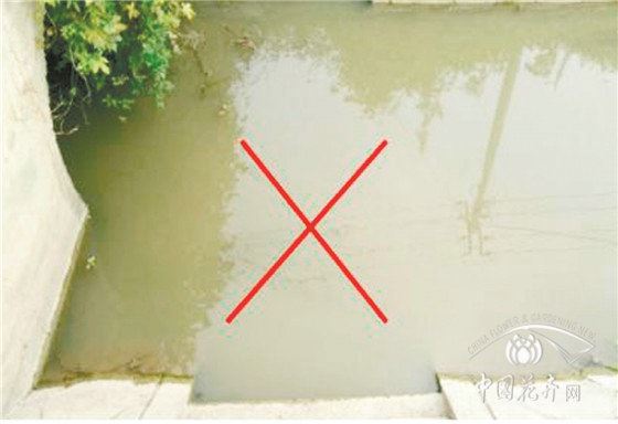 除草剂这么用不仅省钱防效还好 除草剂这么用不仅省钱防效还好