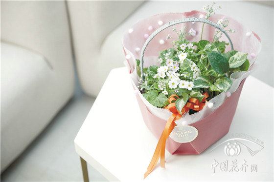 听日韩名师讲节日花礼包装 听日韩名师讲节日花礼包装