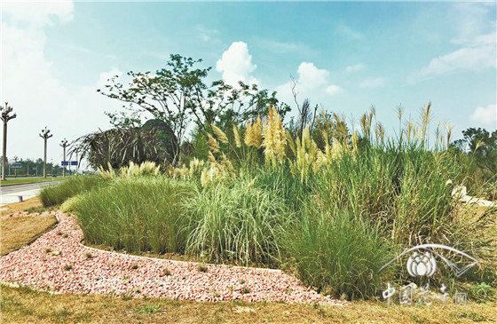享受艺术回归自然 记四川省成都市天府中央公园(一期)项目景观工程 享受艺术回归自然 记四川省成都市天府中央公园(一期)项目景观工程
