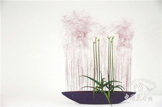 普瑞米索·克德赫:有一颗“少女心”的捷克帅哥 普瑞米索·克德赫:有一颗“少女心”的捷克帅哥