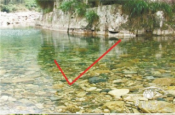 除草剂这么用不仅省钱防效还好 除草剂这么用不仅省钱防效还好