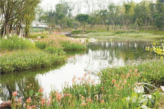 享受艺术回归自然 记四川省成都市天府中央公园(一期)项目景观工程 享受艺术回归自然 记四川省成都市天府中央公园(一期)项目景观工程