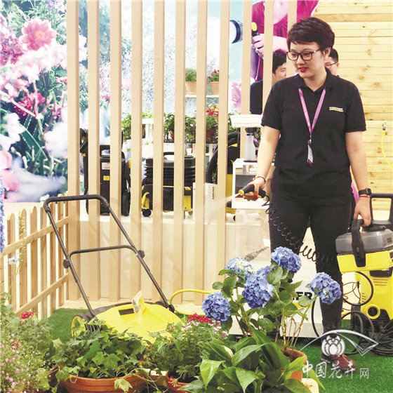 花卉直播,顶级网红有啥秘籍 花卉直播,顶级网红有啥秘籍