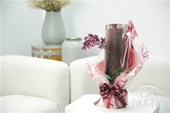 听日韩名师讲节日花礼包装 听日韩名师讲节日花礼包装