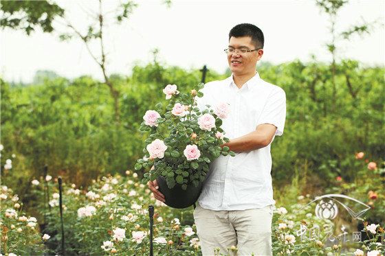 花卉直播,顶级网红有啥秘籍 花卉直播,顶级网红有啥秘籍