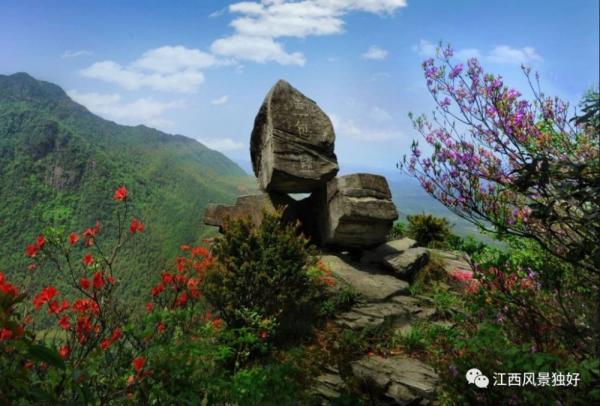 江西红了!最美人间四月天 又是踏春出游时 江西红了!最美人间四月天 又是踏春出游时