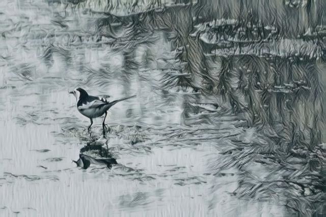 走近春天的脚步,一起来感受镜头下的美 走近春天的脚步,一起来感受镜头下的美