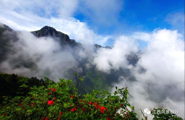 江西红了!最美人间四月天 又是踏春出游时 江西红了!最美人间四月天 又是踏春出游时