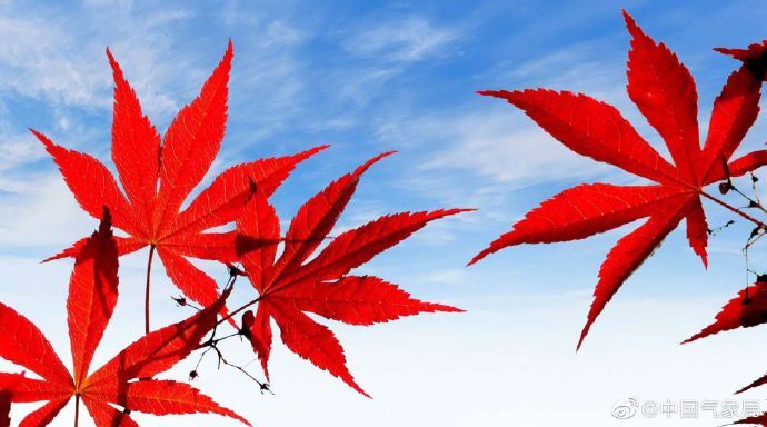 这么神仙的撞色!太美了 这么神仙的撞色!太美了