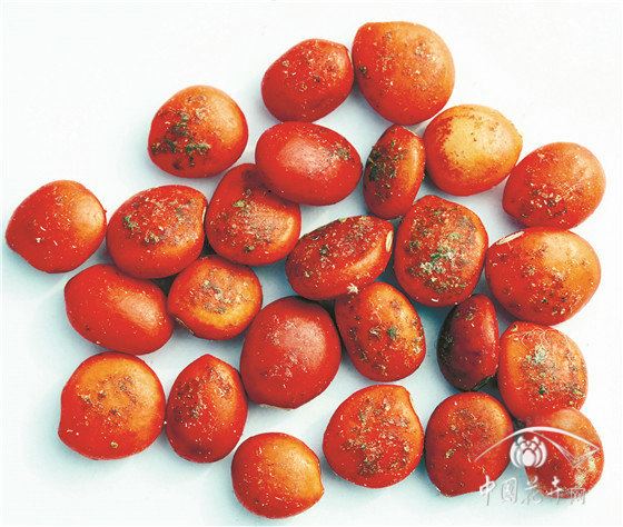 耐高温日灼,四季常绿,树形优美,花色淡雅“材貌双全”的珍稀植物花榈木 耐高温日灼,四季常绿,树形优美,花色淡雅“材貌双全”的珍稀植物花榈木